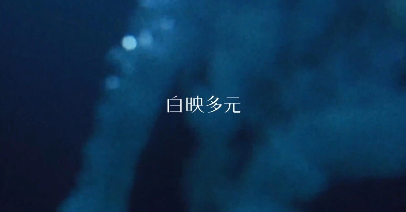 白映多元（bird and insect Taiwan）という会社で再び台湾で挑戦します