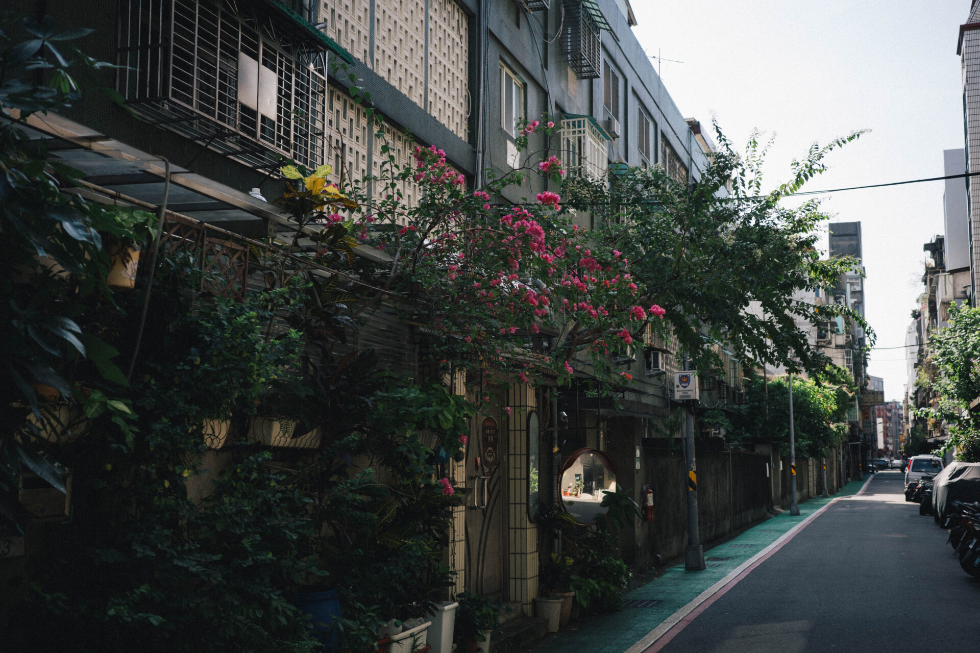 台北暮らしの病院事情、健康診断はどうしてる？