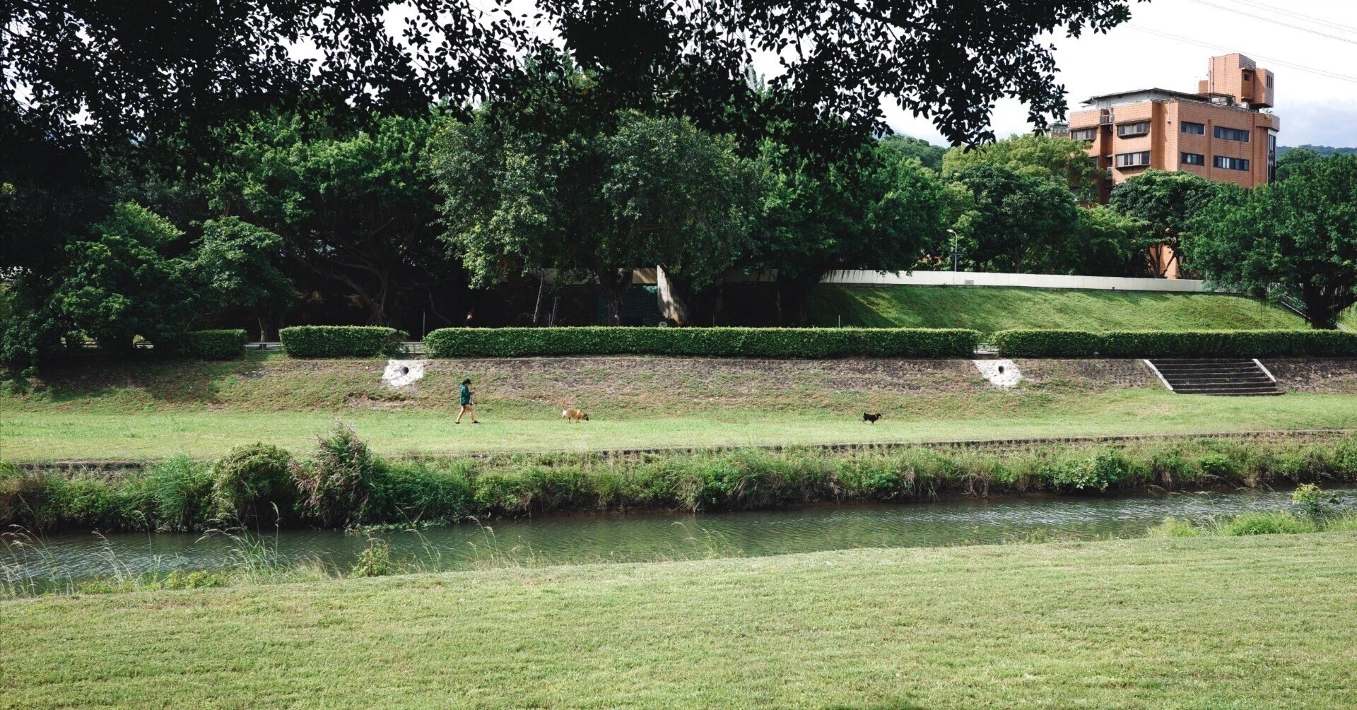 2024年上半期の出来事をざっと振り返ってみた